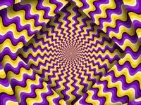 Optical Illusion image